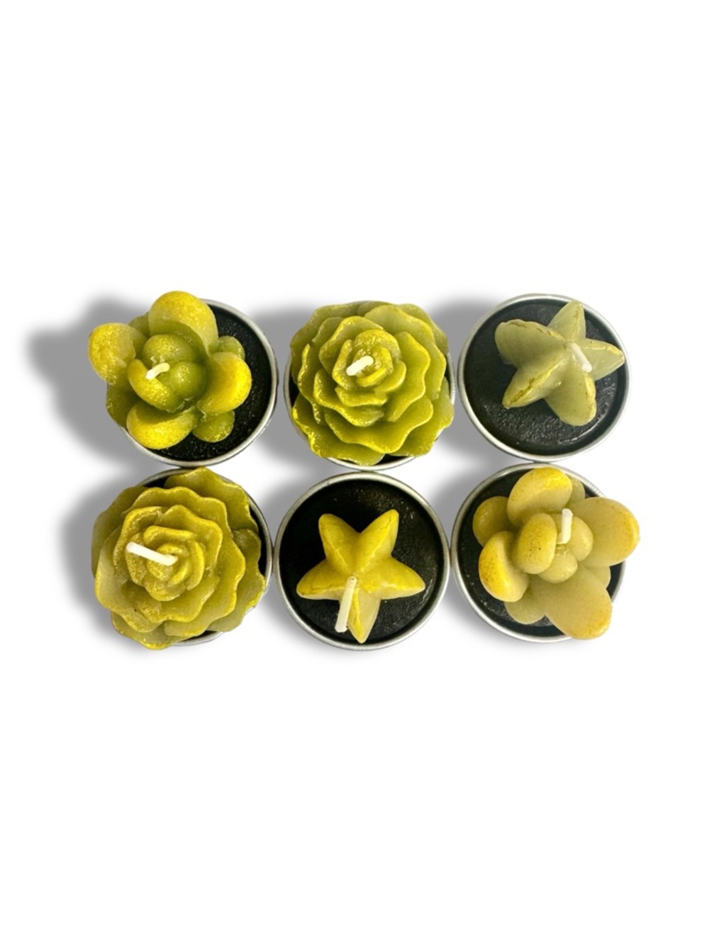Cactus Candles Tealight Succulent Votive Candles 6pc NWOT